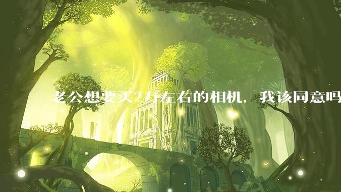 老公想要买2万左右的相机，我该同意吗？