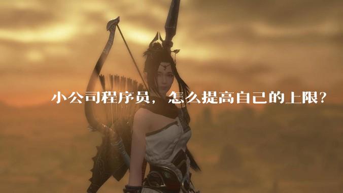 小公司程序员，怎么提高自己的上限？