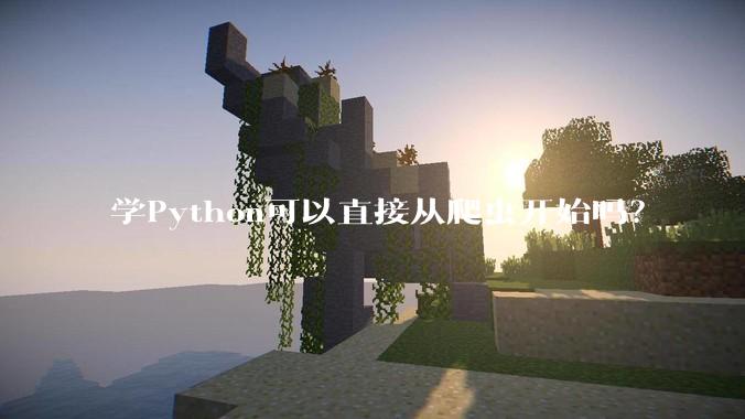 学Python可以直接从爬虫开始吗？
