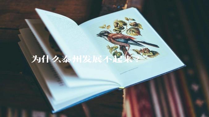为什么泰州发展不起来?