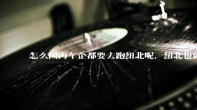 怎么国内车企都要去跑纽北呢，纽北也就是个普通赛道?