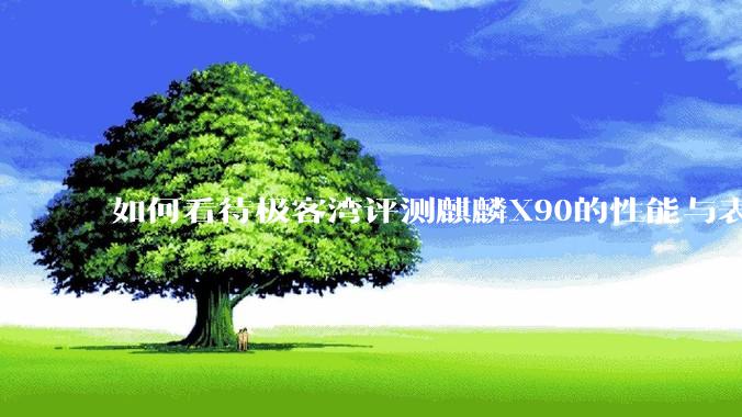 如何看待极客湾评测麒麟X90的性能与表现?