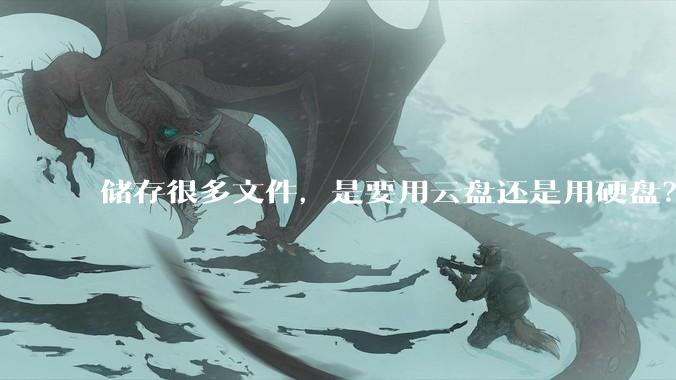 储存很多文件，是要用云盘还是用硬盘？